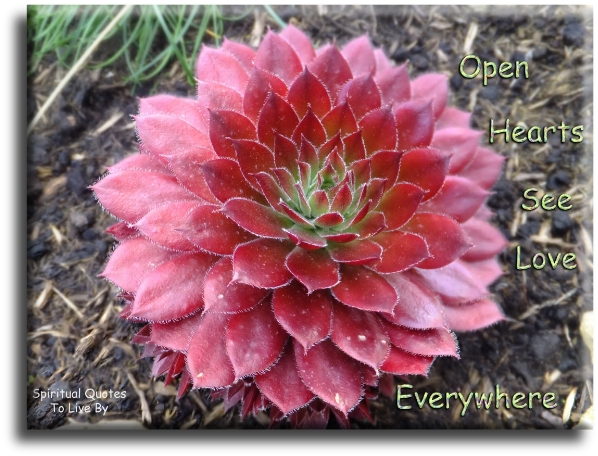 Open hearts see love everywhere. - Spiritual Quotes To Live By