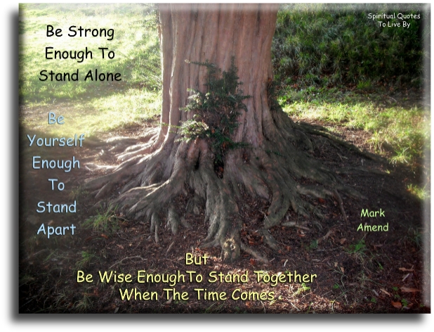 Mark Amend quote - Be strong enough to stand alone. Be yourself enough to stand apart. But be wise enough to stand together when the time comes. - Spiritual Quotes To Live By