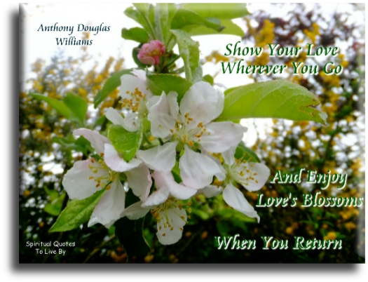 Anthony Douglas Williams quote - Show your love wherever you go, and enjoy love’s blossoms whenever you return. - Spiritual Quotes To Live By