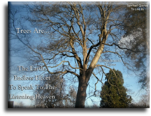 Rabindranath Tagore quote - Trees are the Earths endless effort to speak to the listening Heaven. - Spiritual Quotes To Live By