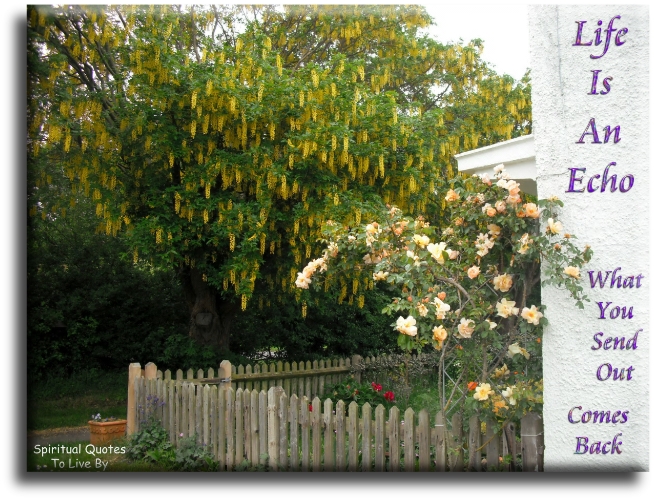 Life is an echo.. What you send out comes back. - Spiritual Quotes To Live By