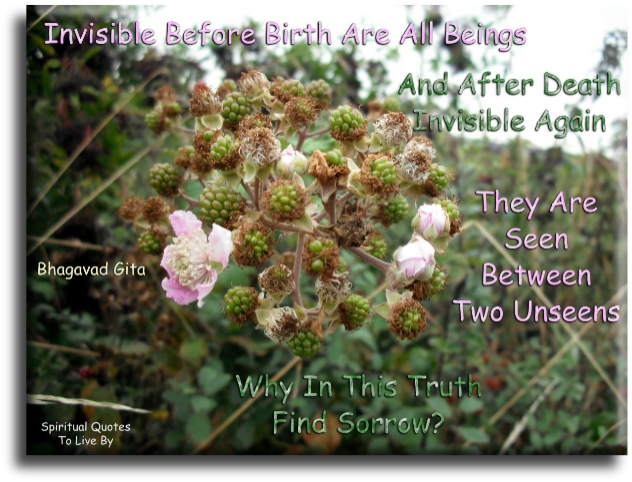 Bhagavad Gita quote - Invisible before birth are all beings and after death invisible again. They are seen between two unseen, why in this truth find sorrow? - Spiritual Quotes To Live By