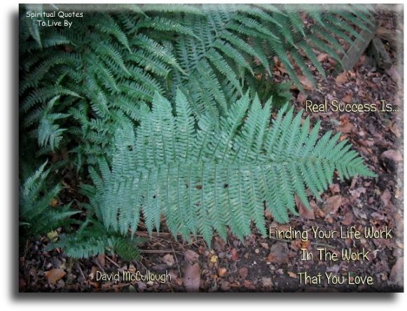David McCullough quote - Real success is finding your life work in the work that you love. - Spiritual Quotes To Live By