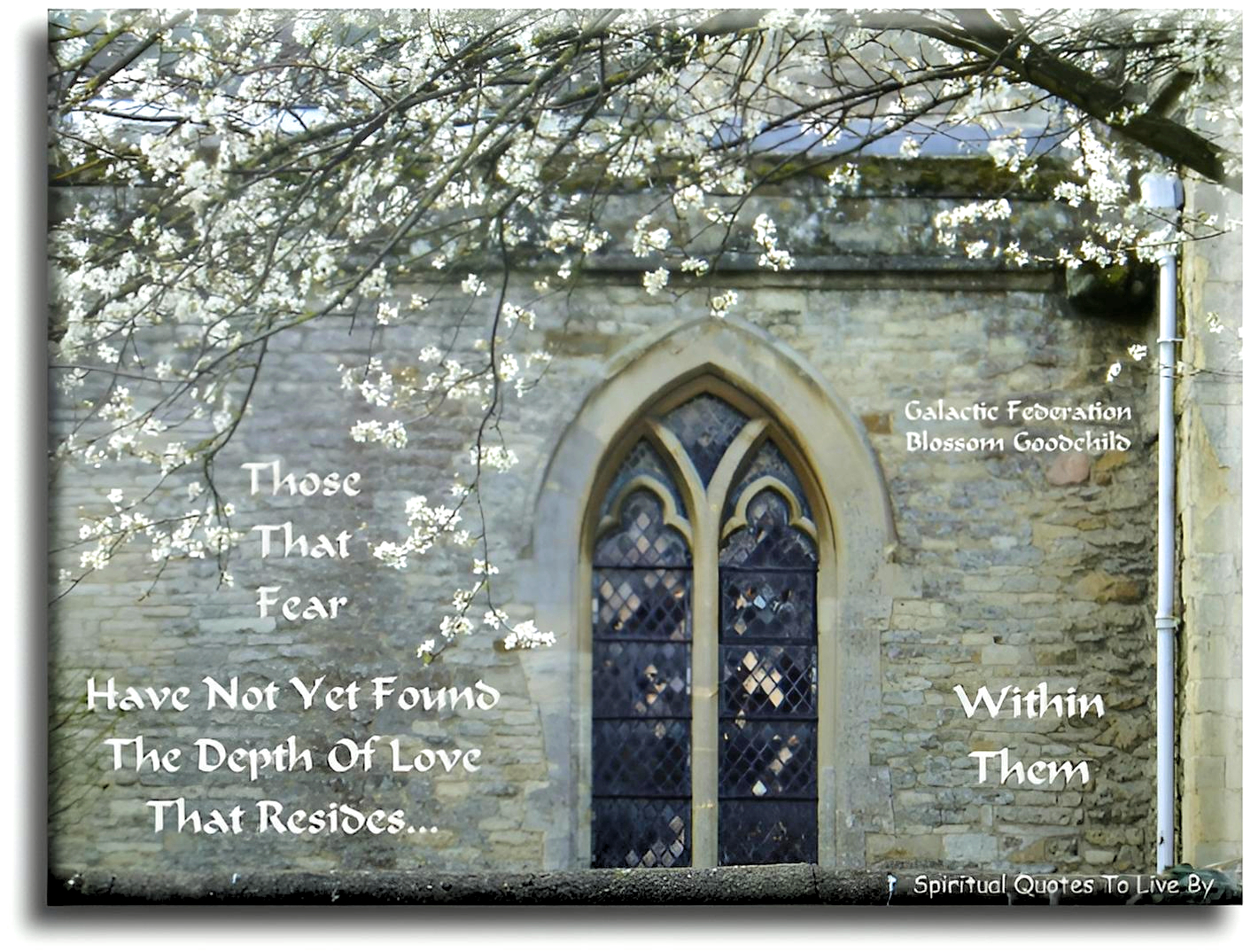 Federation Of Light-Blossom Goodchild quote - Those that fear have not yet found the depth of love that resides within them. - Spiritual Quotes To Live By