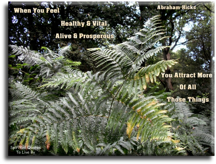 Abraham-Hicks quote - When you FEEL healthy and vital and alive and prosperous.. You attract more of those things. - Spiritual Quotes To Live By
