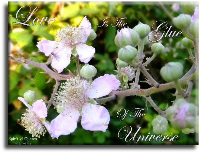 Love is the glue of the Universe. - Spiritual Quotes To Live By