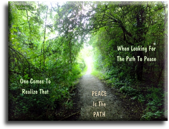 When looking for the path to peace, one comes to realise that Peace is the path. - Spiritual Quotes To Live By