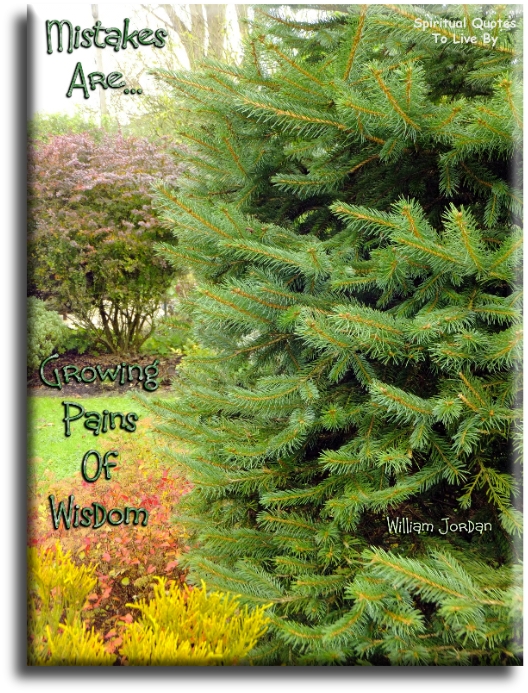 William Jordan quote - Mistakes are the growing pains of wisdom. - Spiritual Quotes To Live By