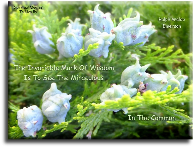 Ralph Waldo Emerson quote - The invariable mark of wisdom is to see the miraculous in the common. - Spiritual Quotes To Live By