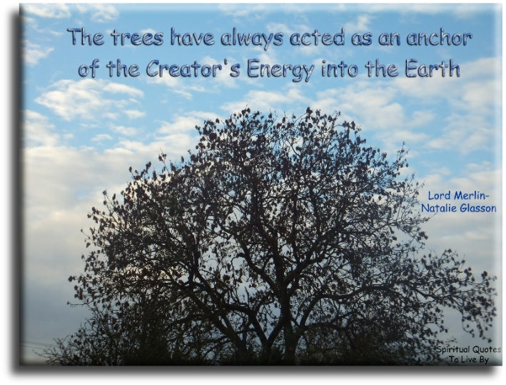 Lord Merlin-Natalie Glasson quote - The trees have always acted as an anchor of the Creator’s Energy into the Earth - Spiritual Quotes To Live By