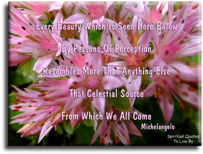 Michelangelo quote - Every beauty which is seen here below by persons of perception... - Spiritual Quotes To Live By