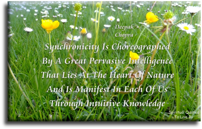Deepak Chopra quote - Synchronicity is choreographed by a great, pervasive intelligence that lies at the heart of nature, and is manifest in each of us through intuitive knowledge. - Spiritual Quotes To Live By