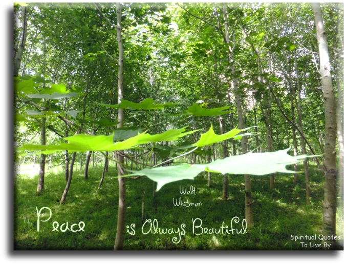 Walt Whitman quote - Peace is always beautiful. - Spiritual Quotes To Live By