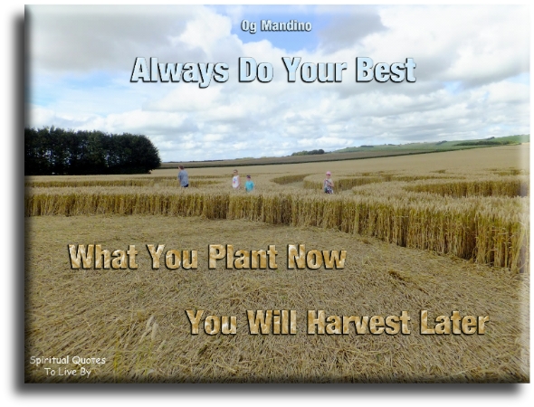 Og Mandino quote - Always do your best. What you plant now, you will harvest later. - Spiritual Quotes To Live By