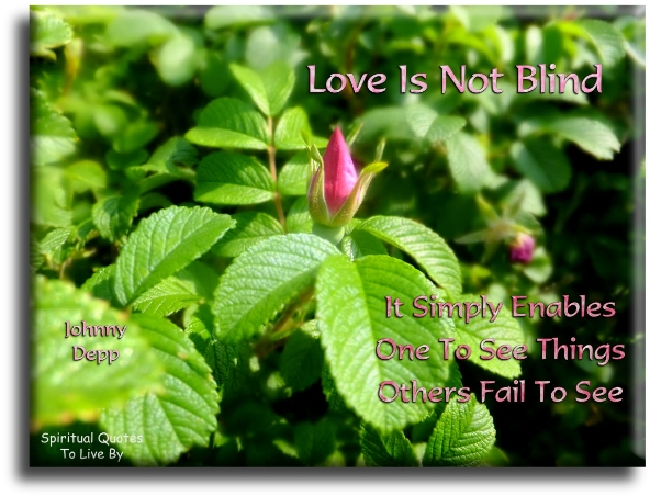 Johnny Depp quote - Love is not blind, it simply enables one to see things others fail to see - Spiritual Quotes To Live By