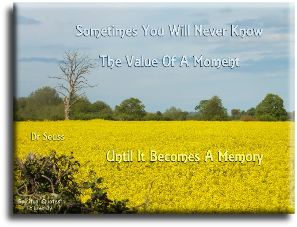 Dr Seuss quote - Sometimes you will never know the value of a moment until it becomes a memory. - Spiritual Quotes To Live By