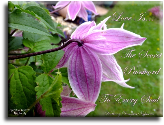 Anthony Douglas Williams quote - Love is the secret password to every Soul. - Spiritual Quotes To Live By
