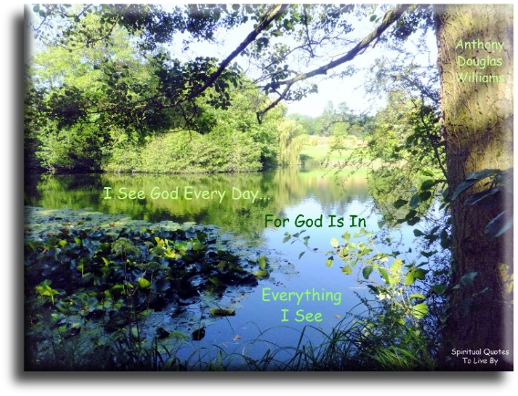Anthony Douglas Williams quote - I see God every day… for God is in everything I see. - Spiritual Quotes To Live By