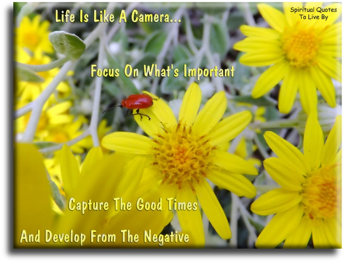 Life is like a camera.. Focus on what’s important, capture the good times and develop from the negative. - Spiritual Quotes To Live By