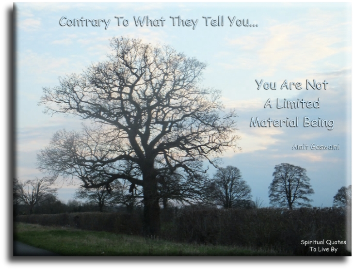 Amit Goswami quote - Contrary to what they tell you, you are not a limited material being - Spiritual Quotes To Live By
