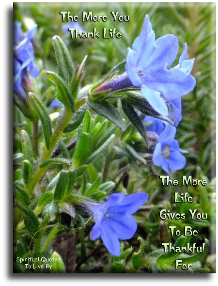 The more you thank life, the more life gives you to be thankful for. - Spiritual Quotes To Live By