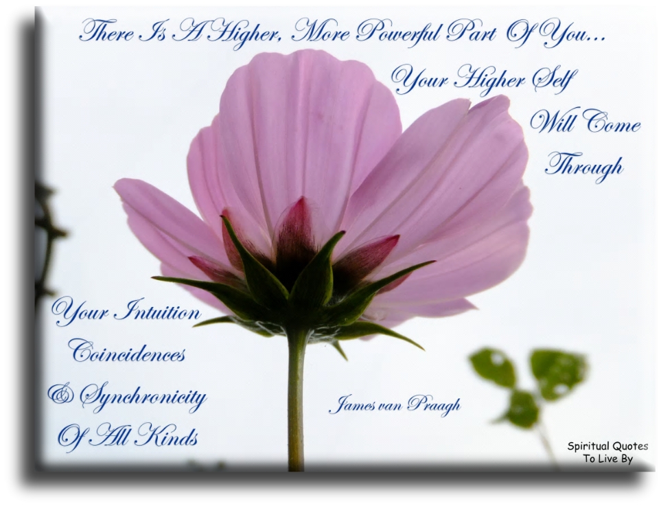 James Van Praagh quote - There is a higher more powerful part of you. Your higher self will come through your intuition, coincidences and synchronicity of all kinds. - Spiritual Quotes To Live By