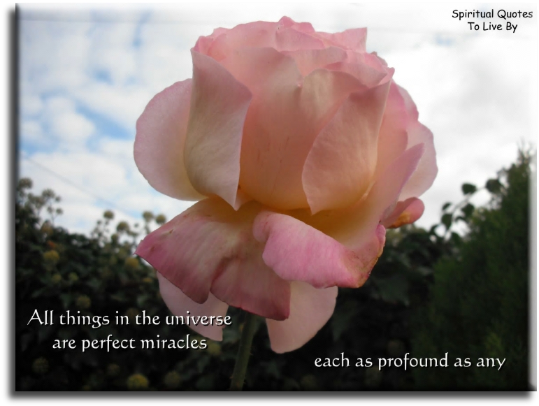 Walt Whitman quote - All things in the Universe are perfect miracles, each as profound as any. - Spiritual Quotes To Live By