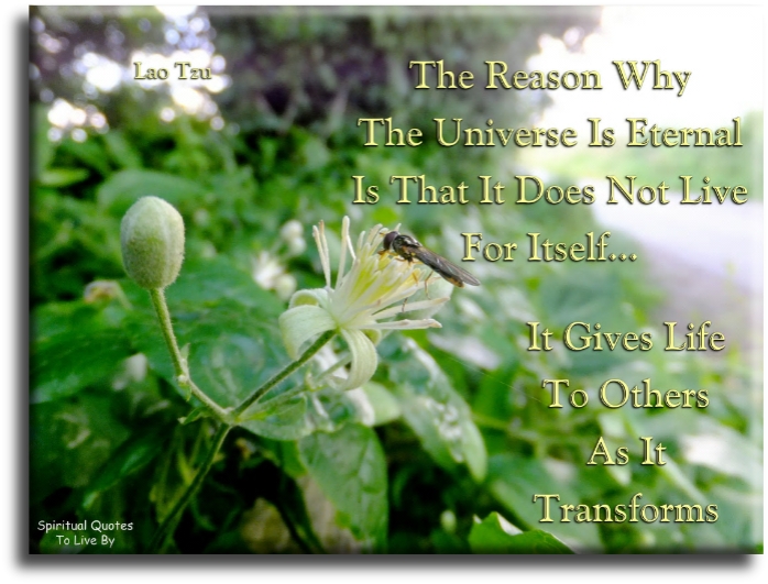 Lao Tzu quote - The reason why the Universe is eternal is that it does not live for itself, it gives life to others as it transforms. - Spiritual Quotes To Live By