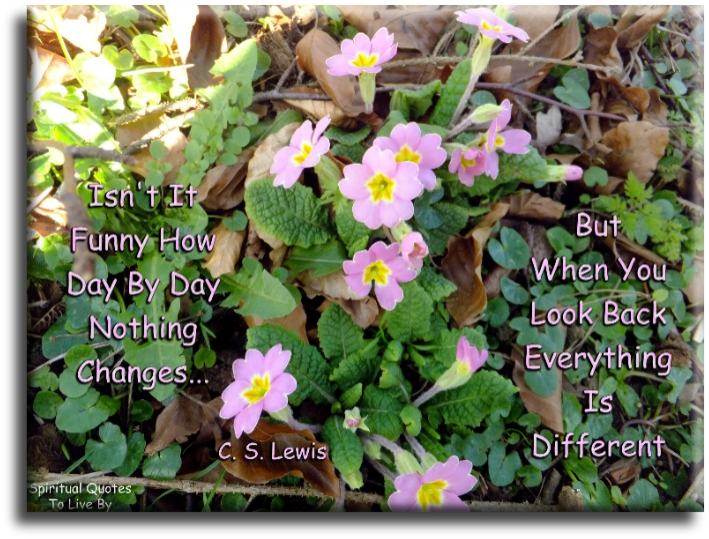 C. S. Lewis quote: Isn't it funny how day by day nothing changes.. but when you look back everything is different - Spiritual Quotes To Live By