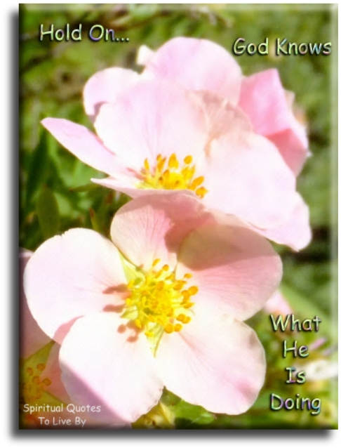 Hold on... God knows what he is doing - Spiritual Quotes To Live By