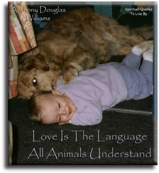 Anthony Douglas Williams quote - Love is the language all animals understand. - Spiritual Quotes To Live By
