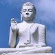 Buddha Buddha