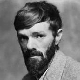 D. H. Lawrence